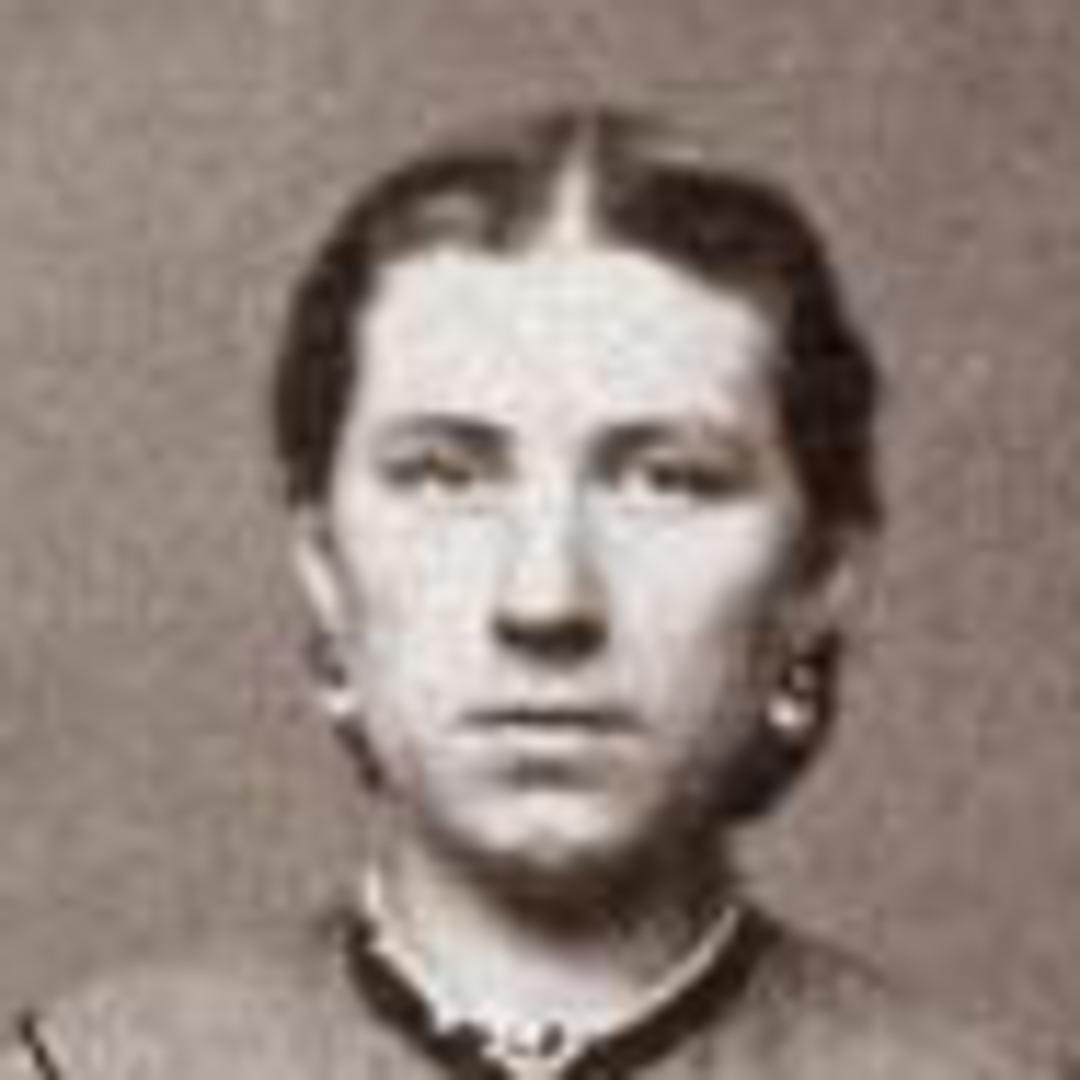 Violet Gledhill (1849 - 1900) Profile